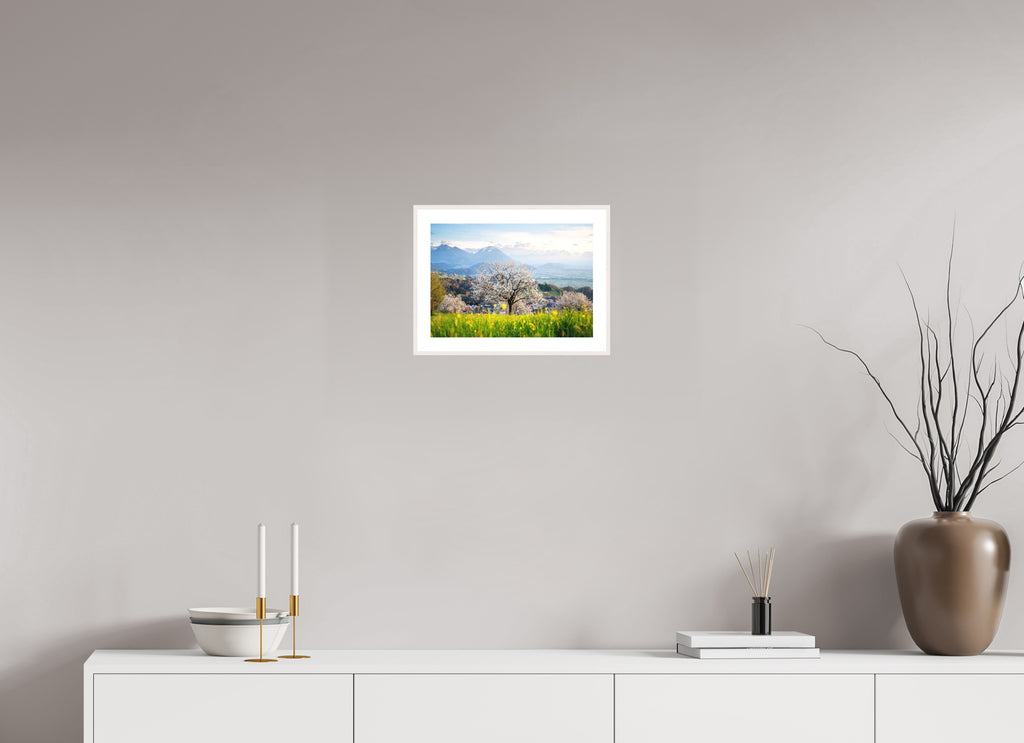 Spring Cherry Tree Meadow, Fraxern, 30 x 20 cm, framed Weiß