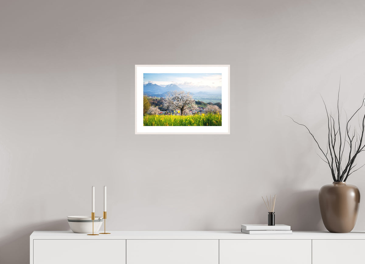 Spring Cherry Tree Meadow, Fraxern, 45 x 30 cm, framed Weiß