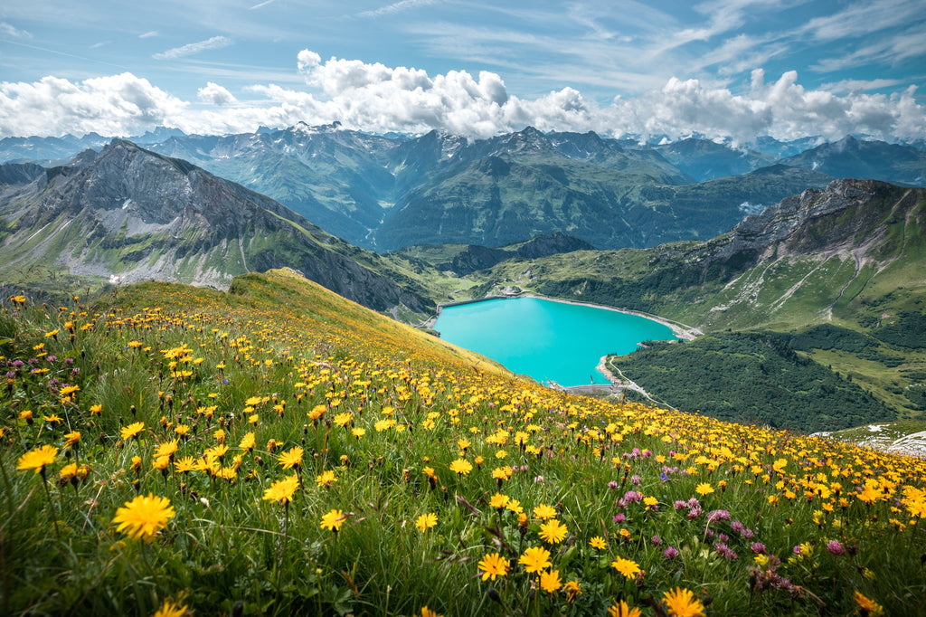 Photo Spullersee Summer Meadow, Lech