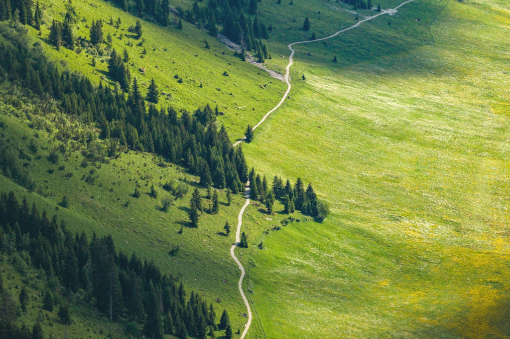 Photo Summer Trail Above Lech, Arlberg