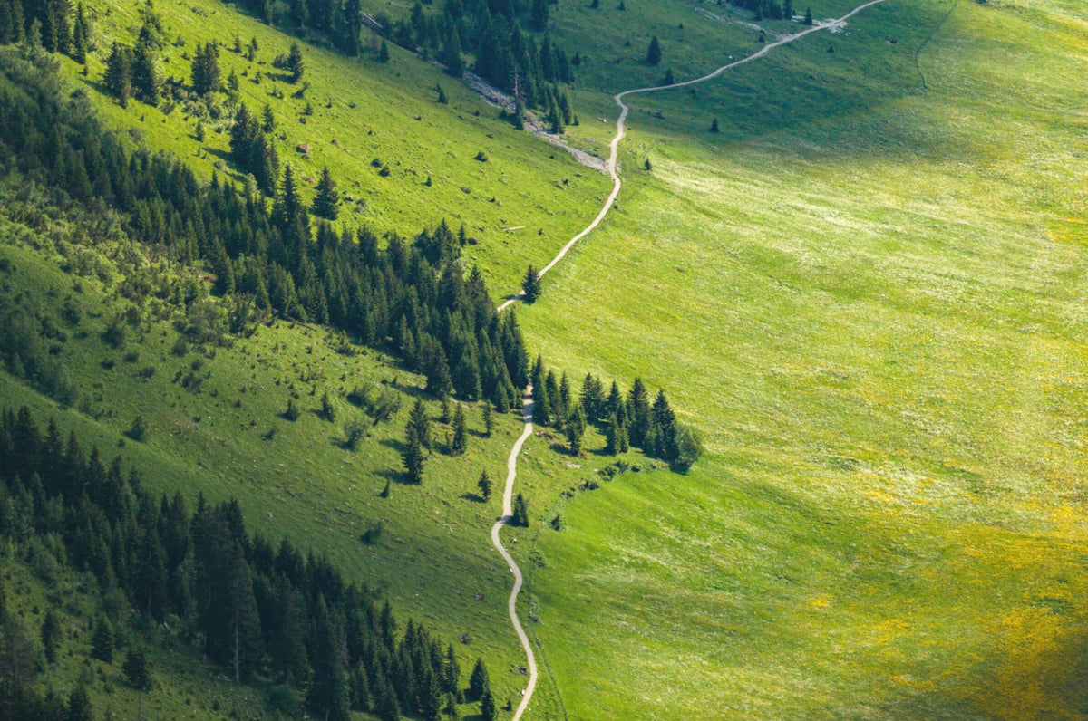 Photo Summer Trail Above Lech, Arlberg
