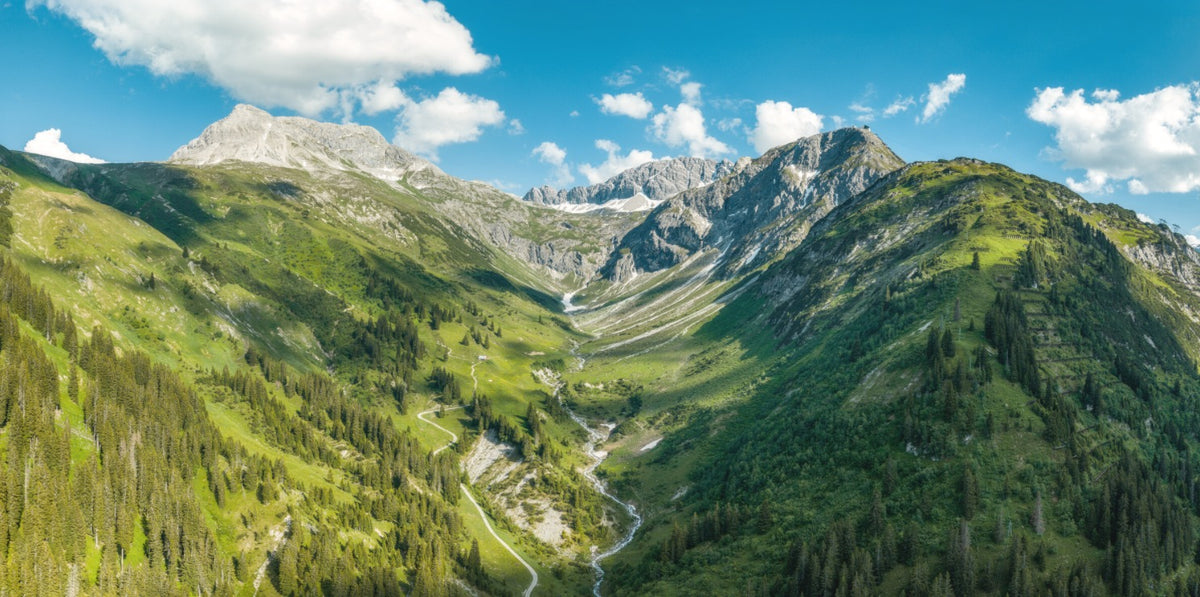 Photo Summer Valley Near Lech, Arlberg