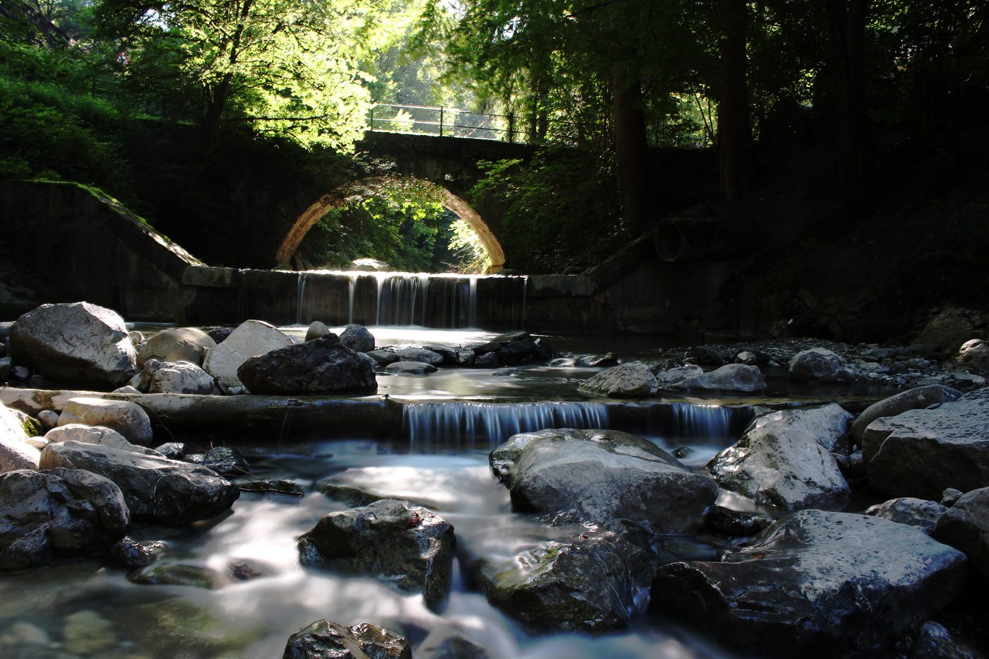One of the first photos Lucas took with his Canon 700D
