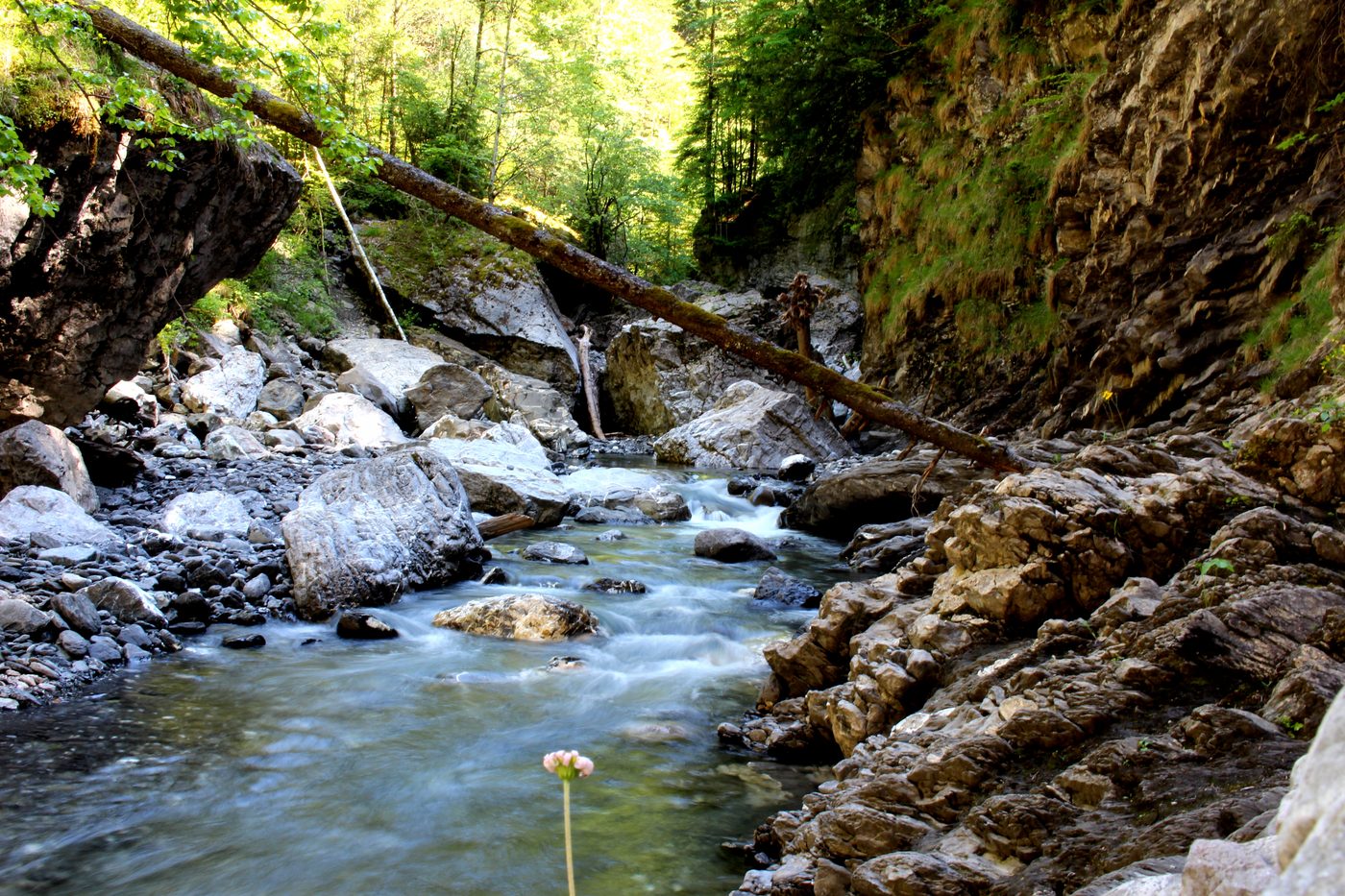 One of the first photos Lucas took with his Canon 700D