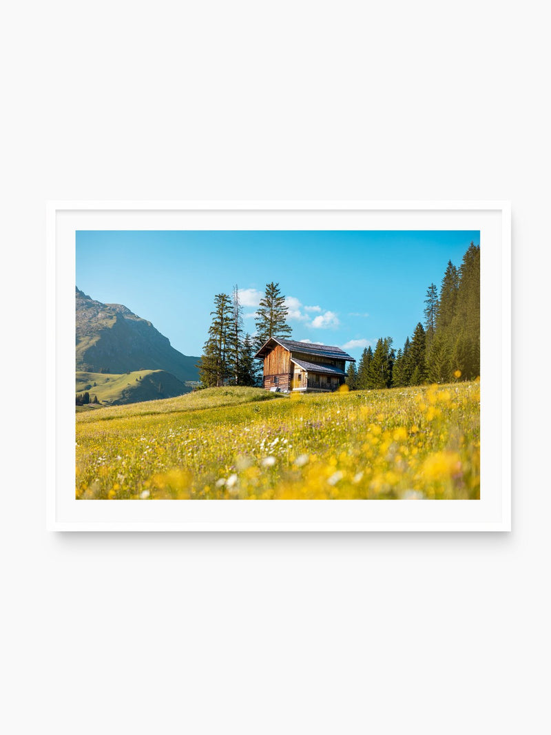 Alpine Hut in the Flower Meadow, Lech, white frame