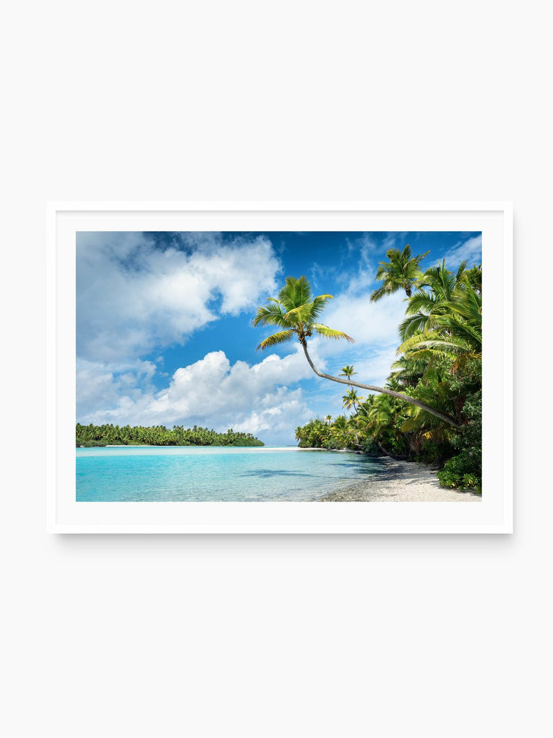 Curved Palm Over the Lagoon, Aitutaki, white frame