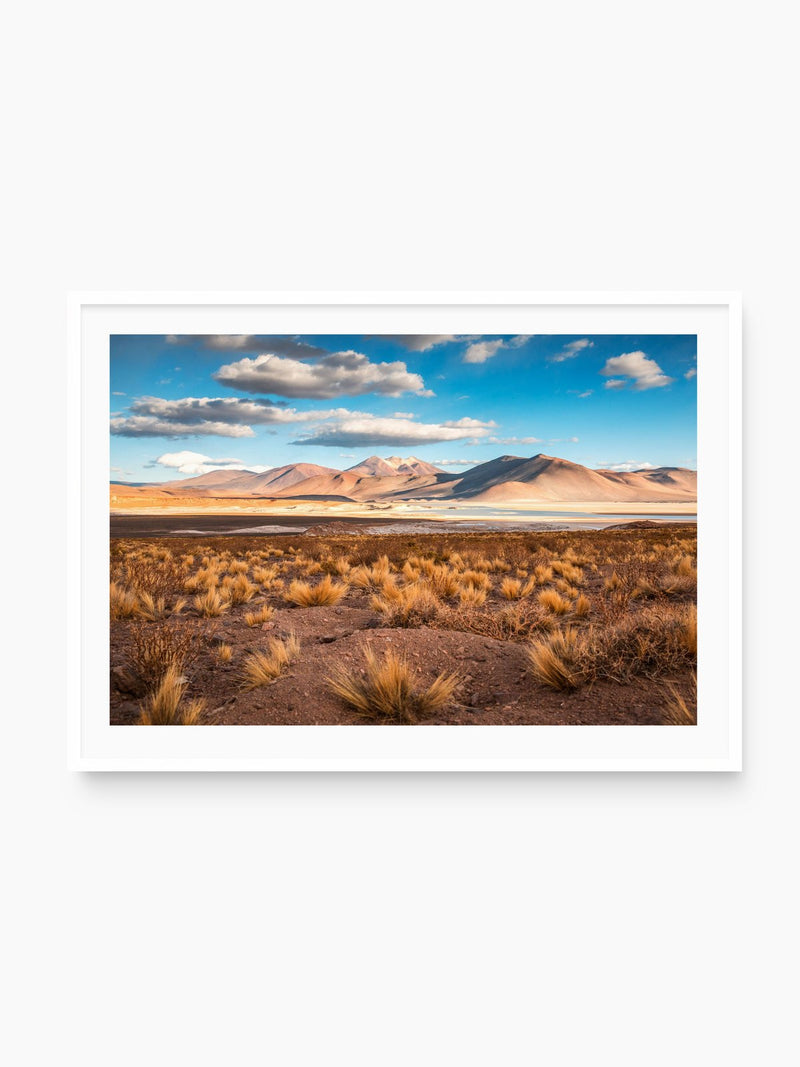 Golden Light in the Atacama Desert, white frame