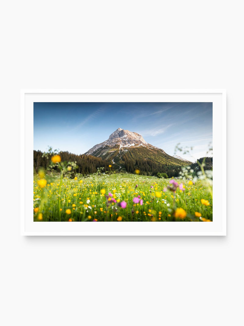 Omeshorn, Lech Alps, white frame