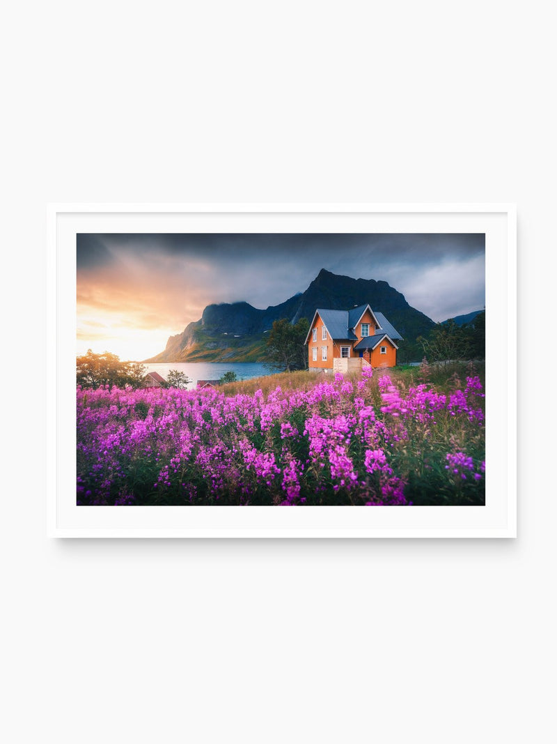 Orange House with Flowers, Lofoten, white frame