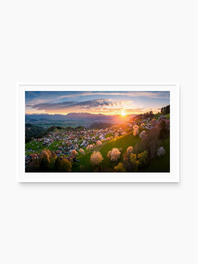 Cherry Blossoms at Sunset, Fraxern Vorarlberg, white frame